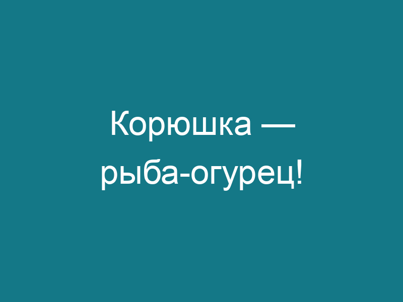 Корюшка — рыба-огурец!