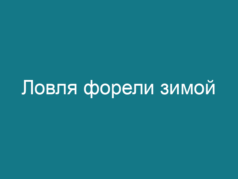 Ловля форели зимой