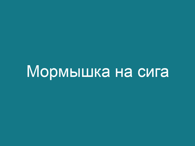 Мормышка на сига